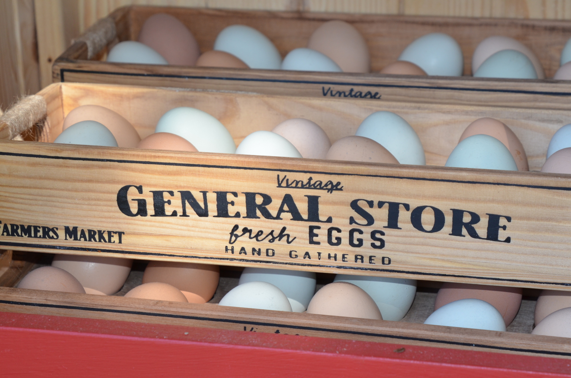 A variety of egg colors are available at Tristan’s Free Range Organic Eggs.