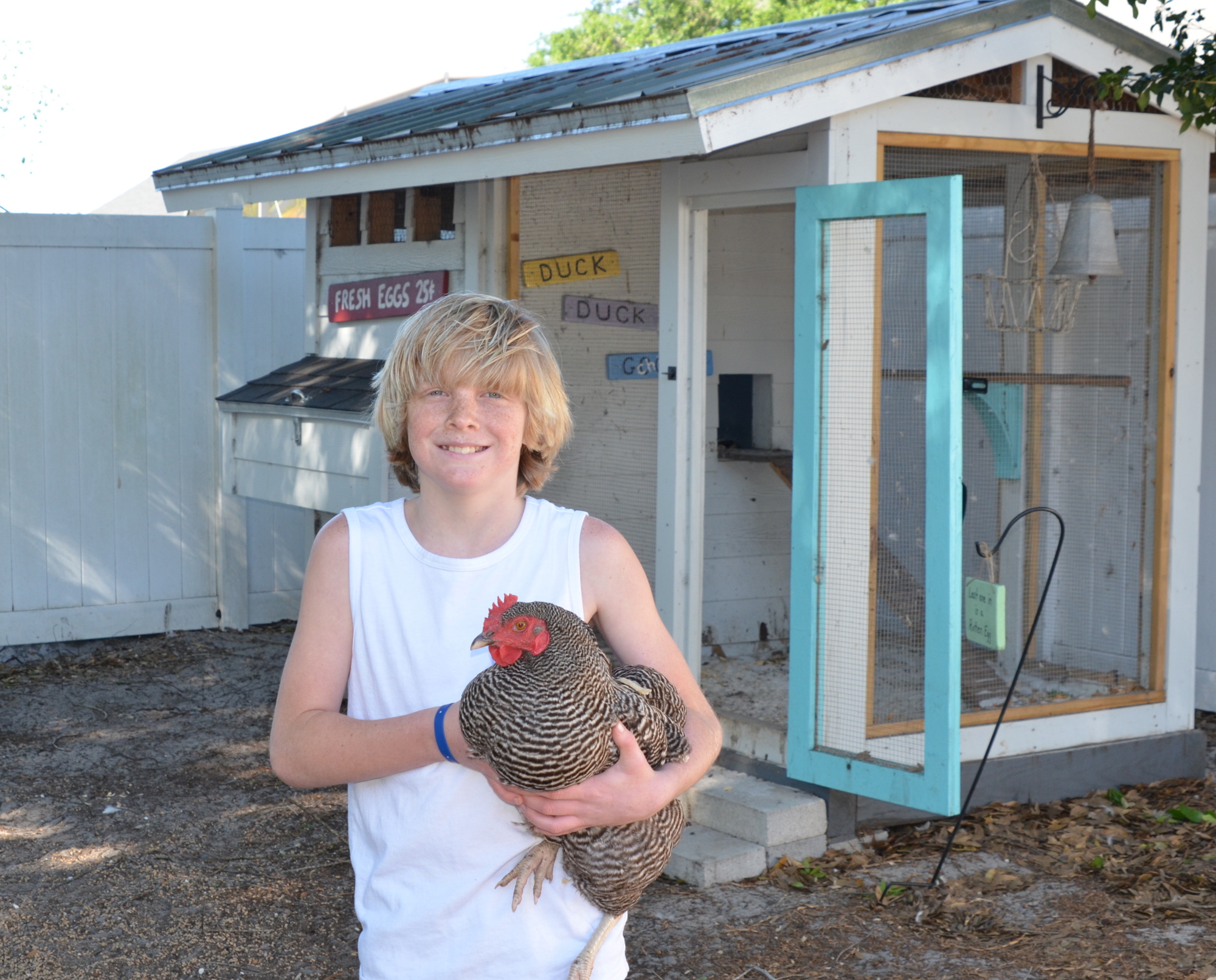 Tristan Milliken’s ducks and chickens spend their nights in their custom coop.