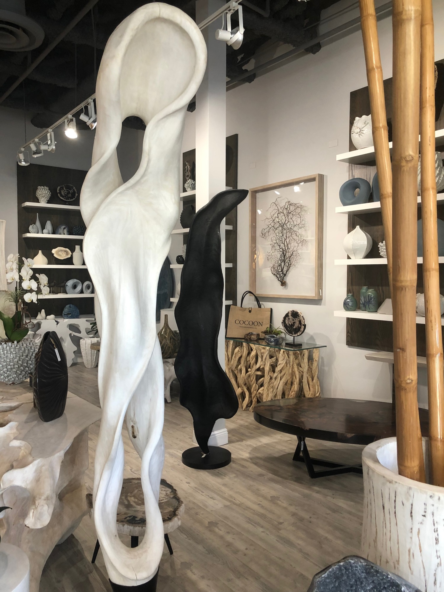 Courtesy. Cocoon Gallery opened a showroom on Fifth Avenue Naples in early 2020.