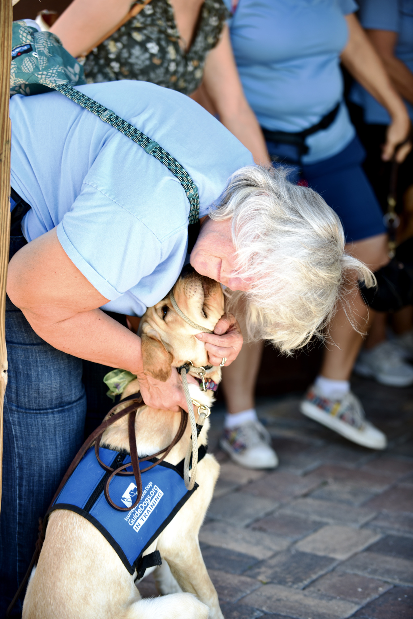 The Lakewood Ranch Puppy Raisers’ youngest trainee, 6-month-old Daisy, plants a wet kiss on puppy raiser Teresa Will. (Photo by Heidi Kurpiela)