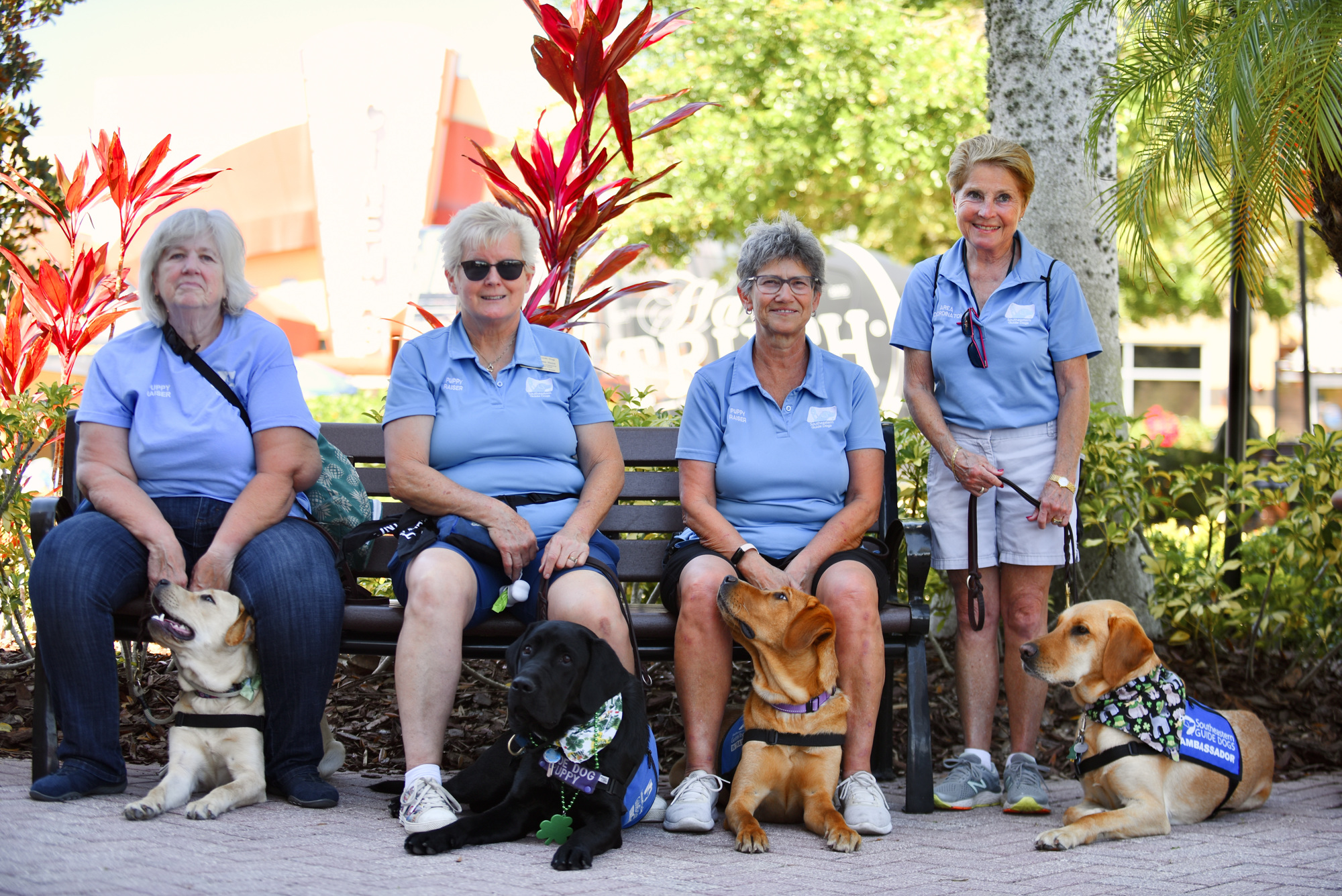Puppy raisers Teresa Will, Jeanne Heere, Sandy Wilke and Alex Jeanroy with their guide dogs Daisy, Andre, Toma and Mason. (Photo by Heidi Kurpiela)