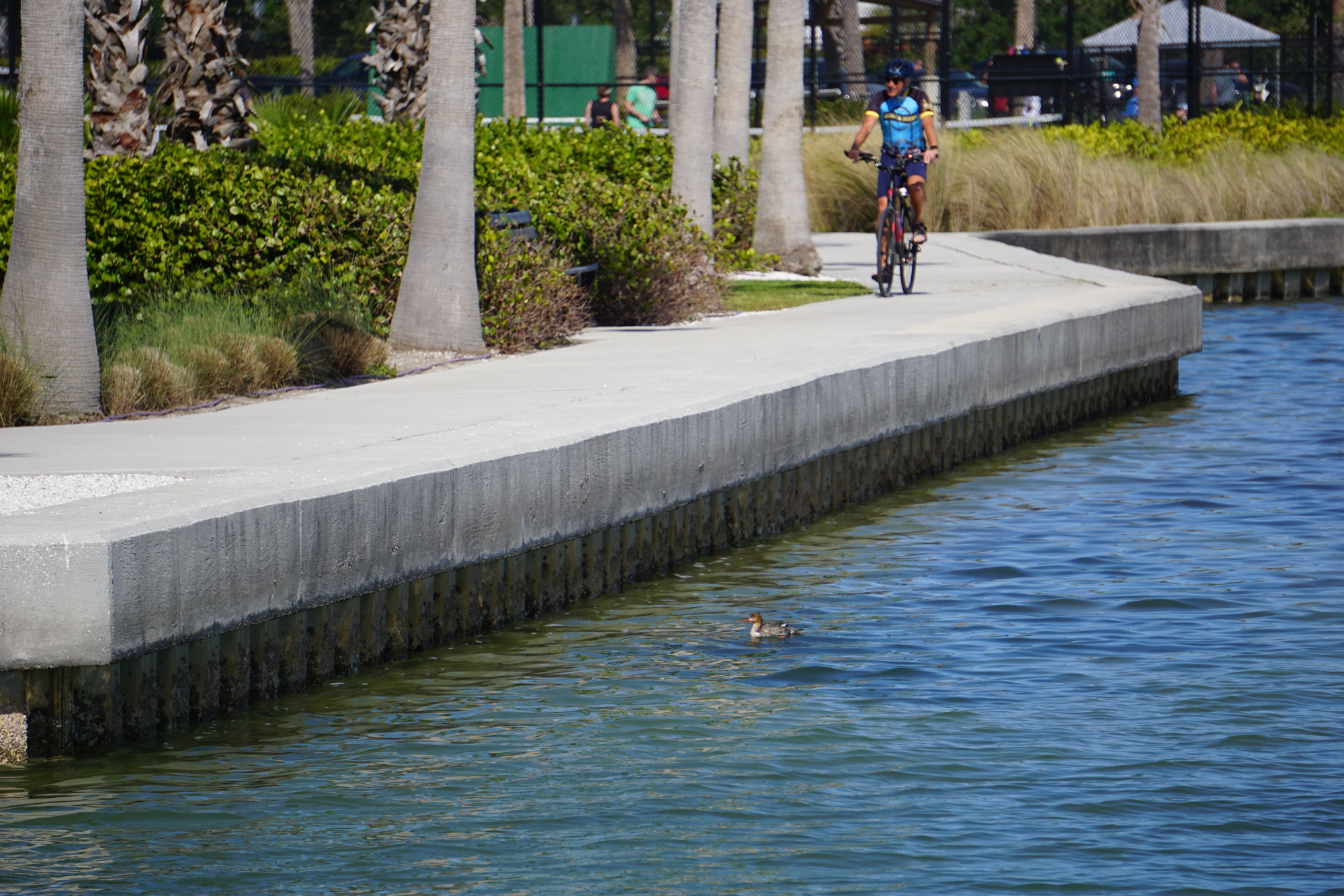 In a report this year by the National Oceanic and Atmospheric Administration, sea levels along United States coastlines are predicted to rise as much as one foot by 2050. (Photo by Eric Garwood)