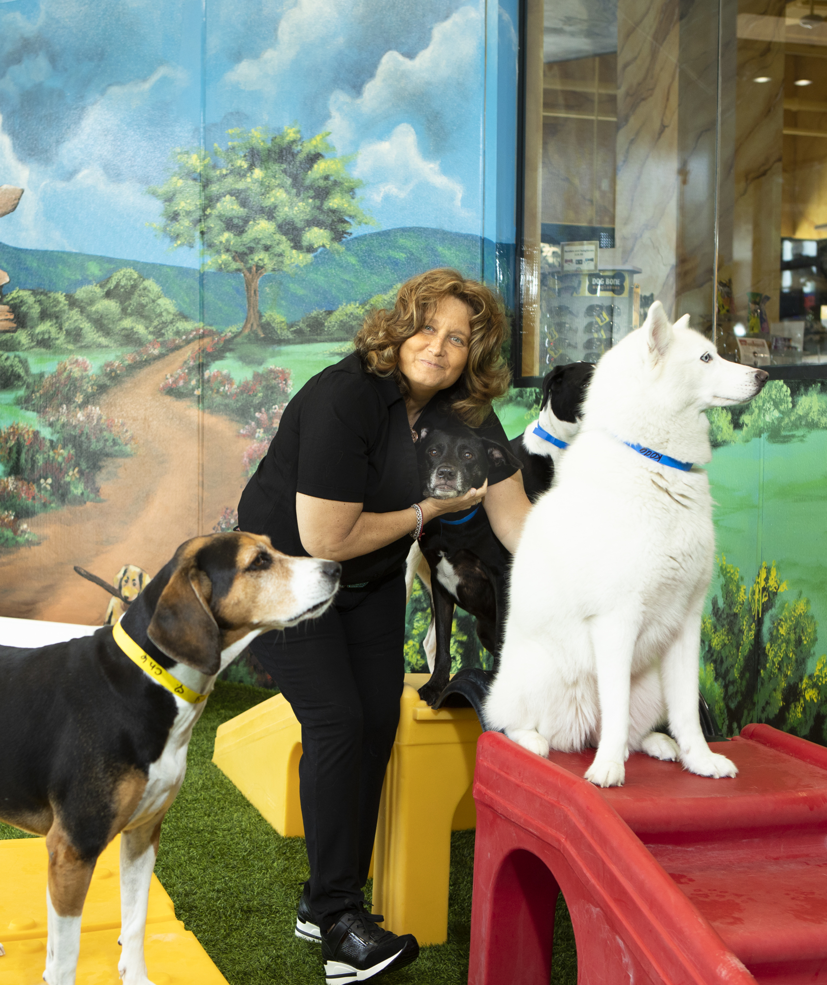 Mark Wemple. Former PetSmart Vice President Denise Denise Wolin founded Royal Pets in 2013.