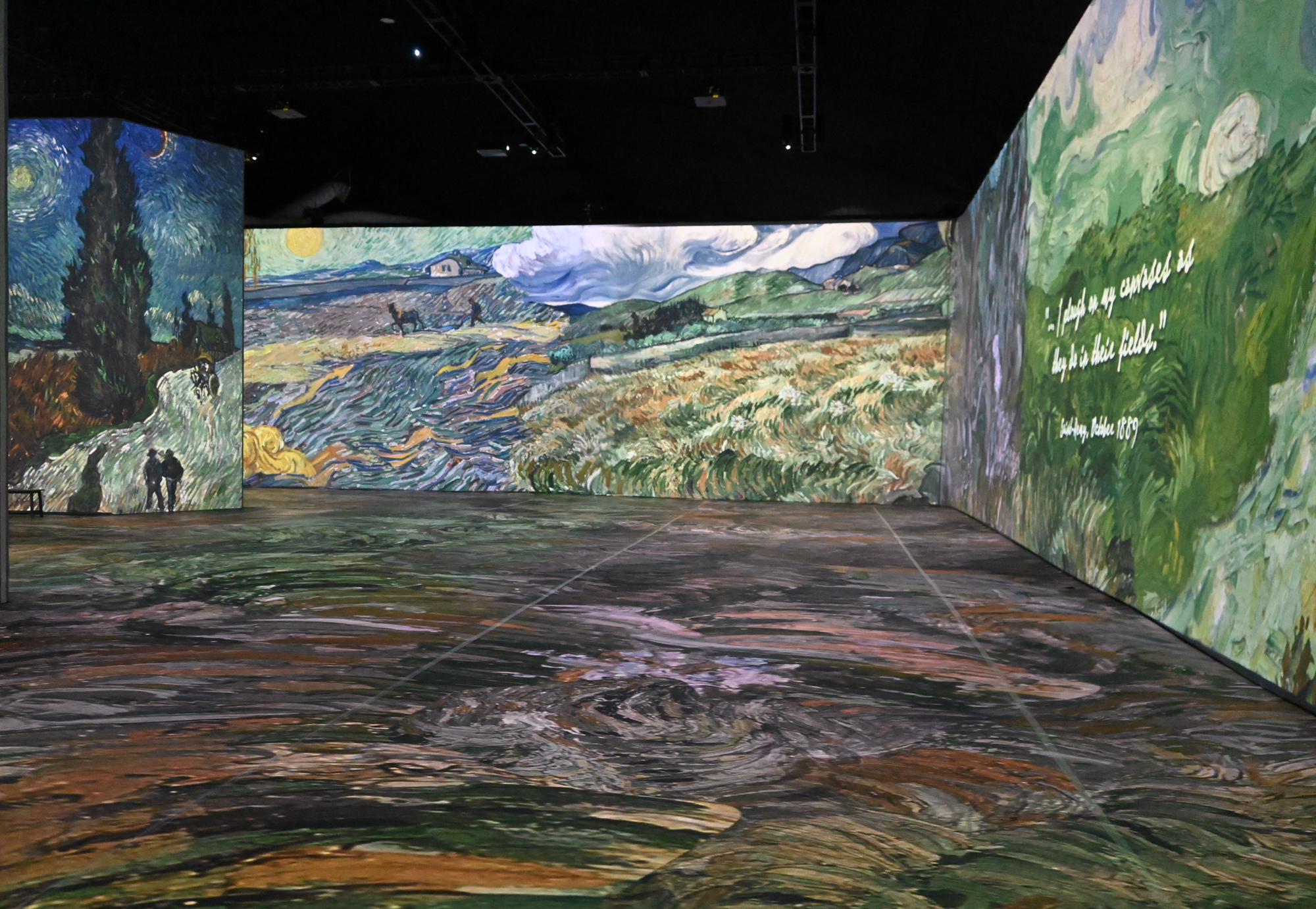 The Van Gogh immersive exhibit is entering its final days in Sarasota. (Photo by Spencer Fordin).