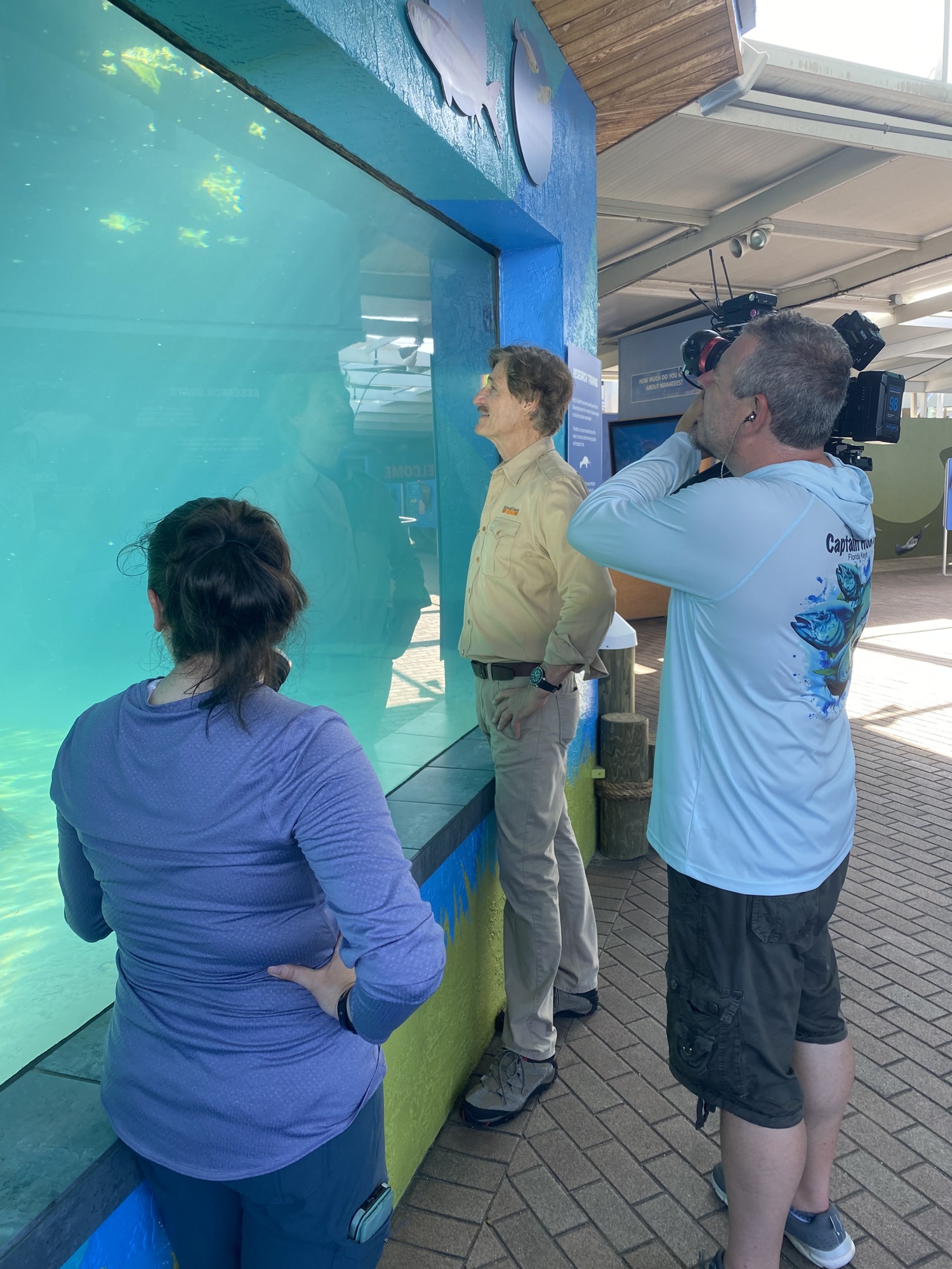Peter Gros watches manatees eat. (Photo courtesy of Mutual of Omaha's Wild Kingdom)