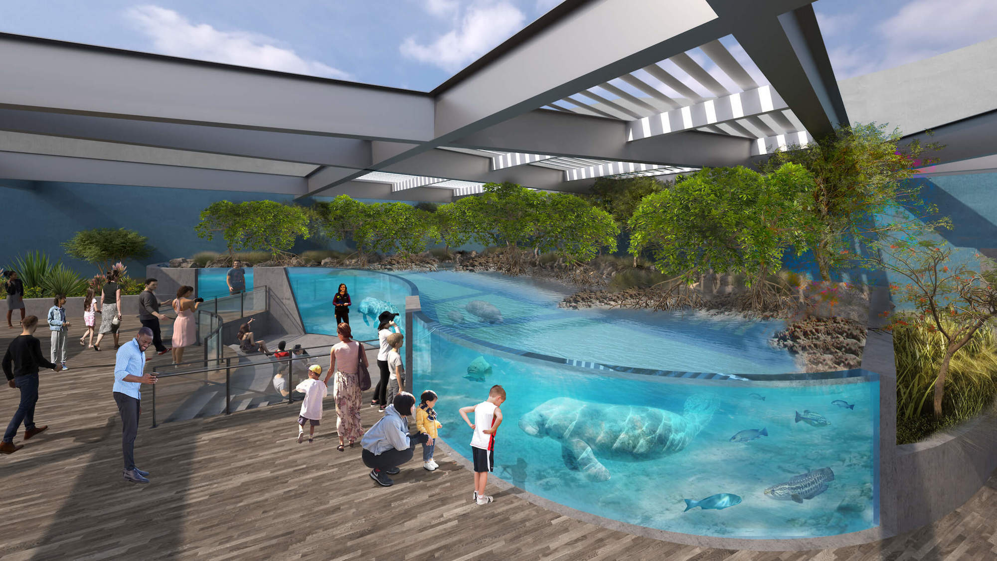 An exhibit of manatees will be located on the top floor of the three-story Mote SEA, requiring extraordinary construction methods. (Courtesy of Mote Marine Laboratory & Aquarium)