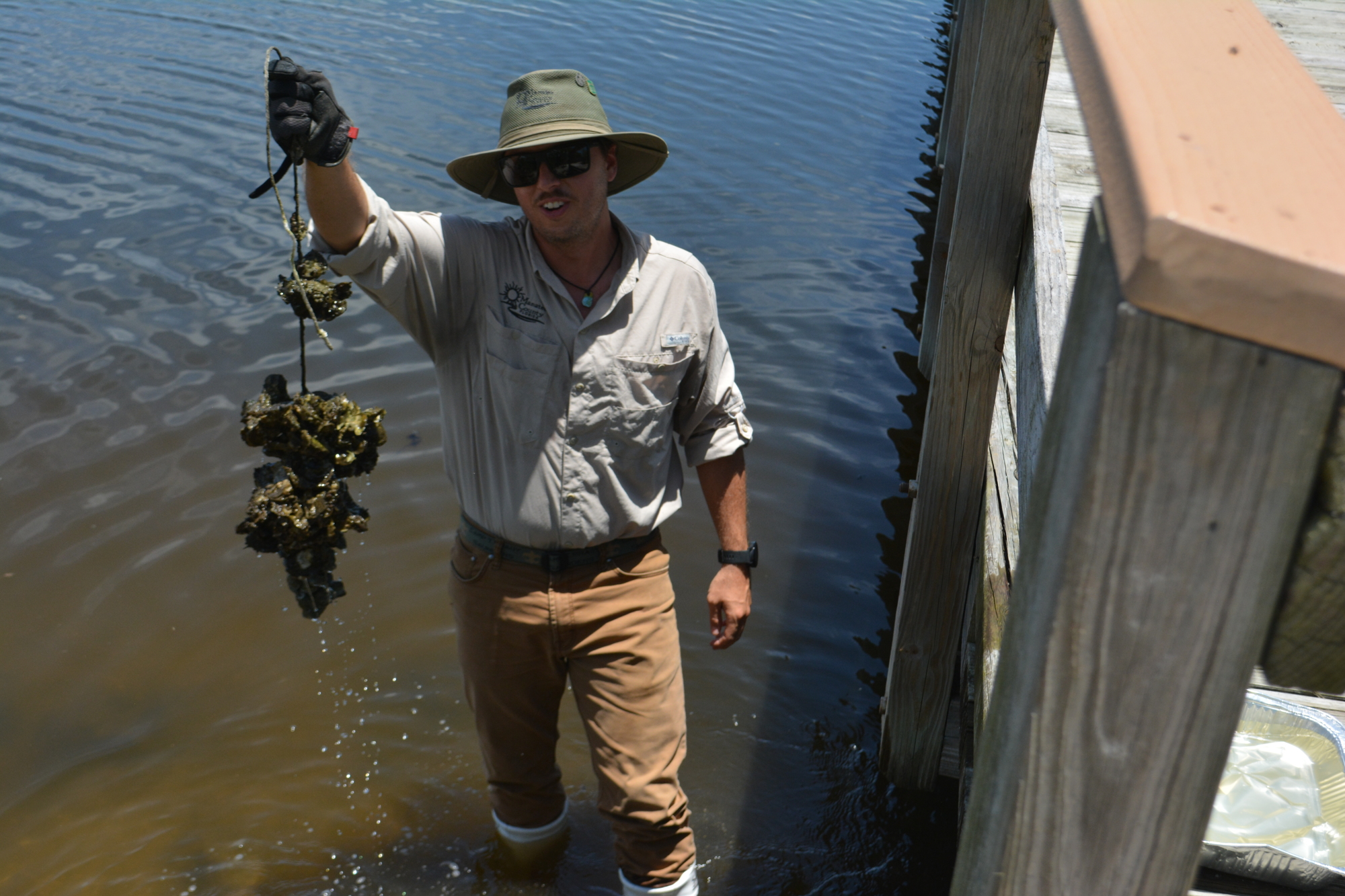 Shaun Swartz, environmental specialist, holds up a vertical oyster garden that has been under a dock at Robinson Preserve for about a year. (Photo by Lauren Tronstad)