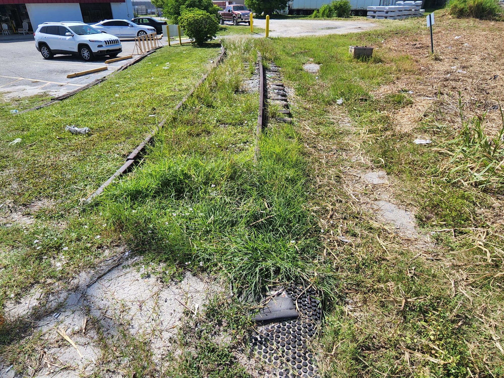An Seminole Gulf Railway spur at 17th Street is overgrown with grass. (Photo by Andrew Warfield)