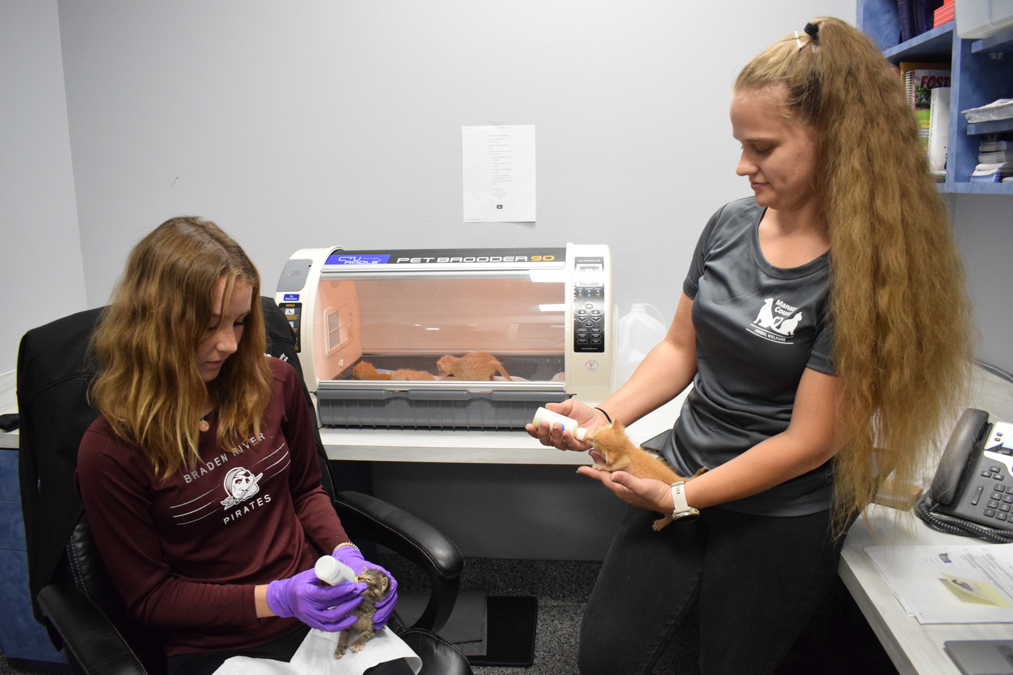 Volunteer Ella Brauch and Haili Brooks, who is the foster coordinator, feed 3-week-old kittens while others rest in the incubator. (Photo by Liz Ramos)