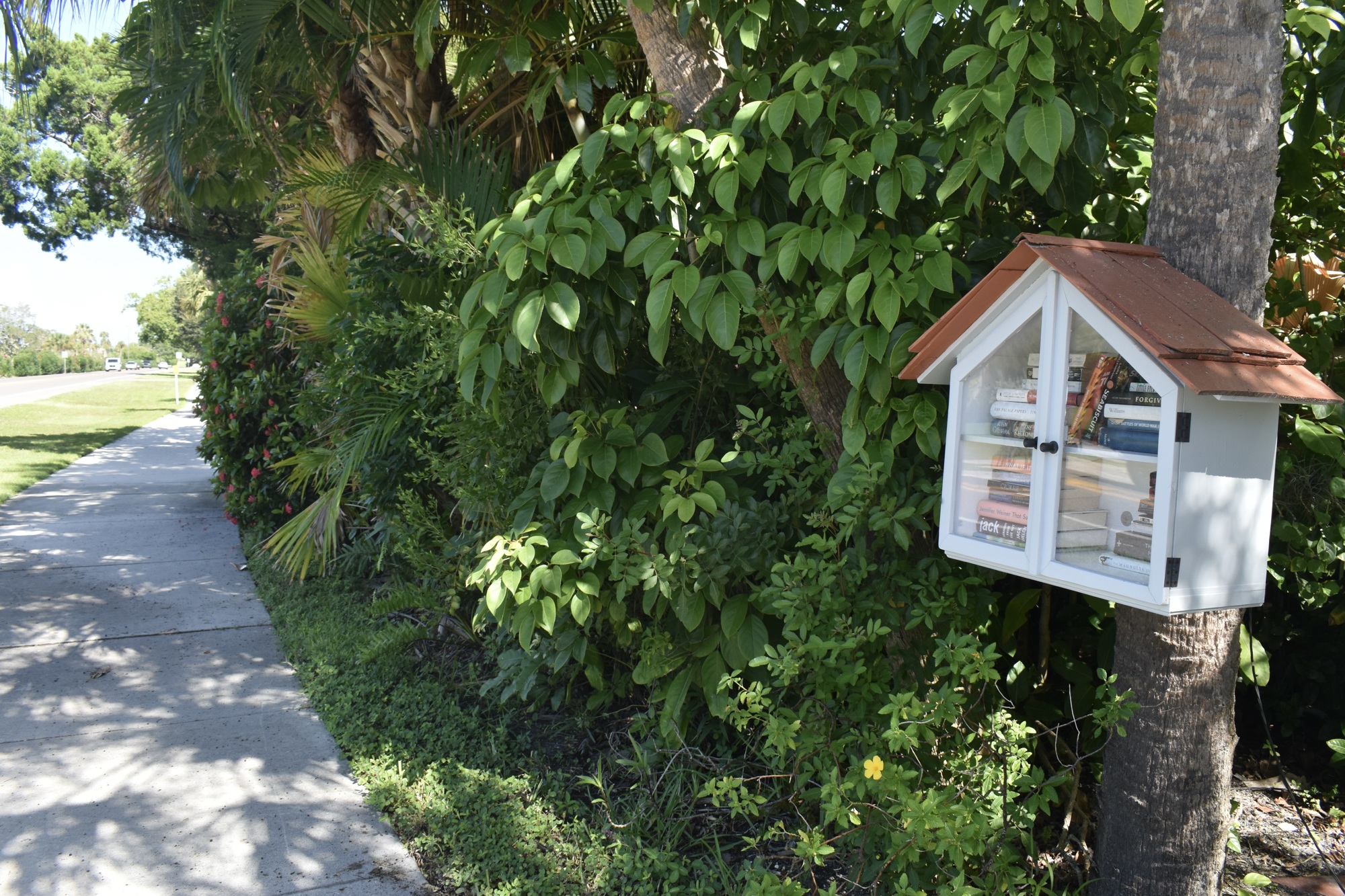The Little Free Library on Gulf of Mexico Drive near Sloop Lane. (Photo by Lesley Dwyer)