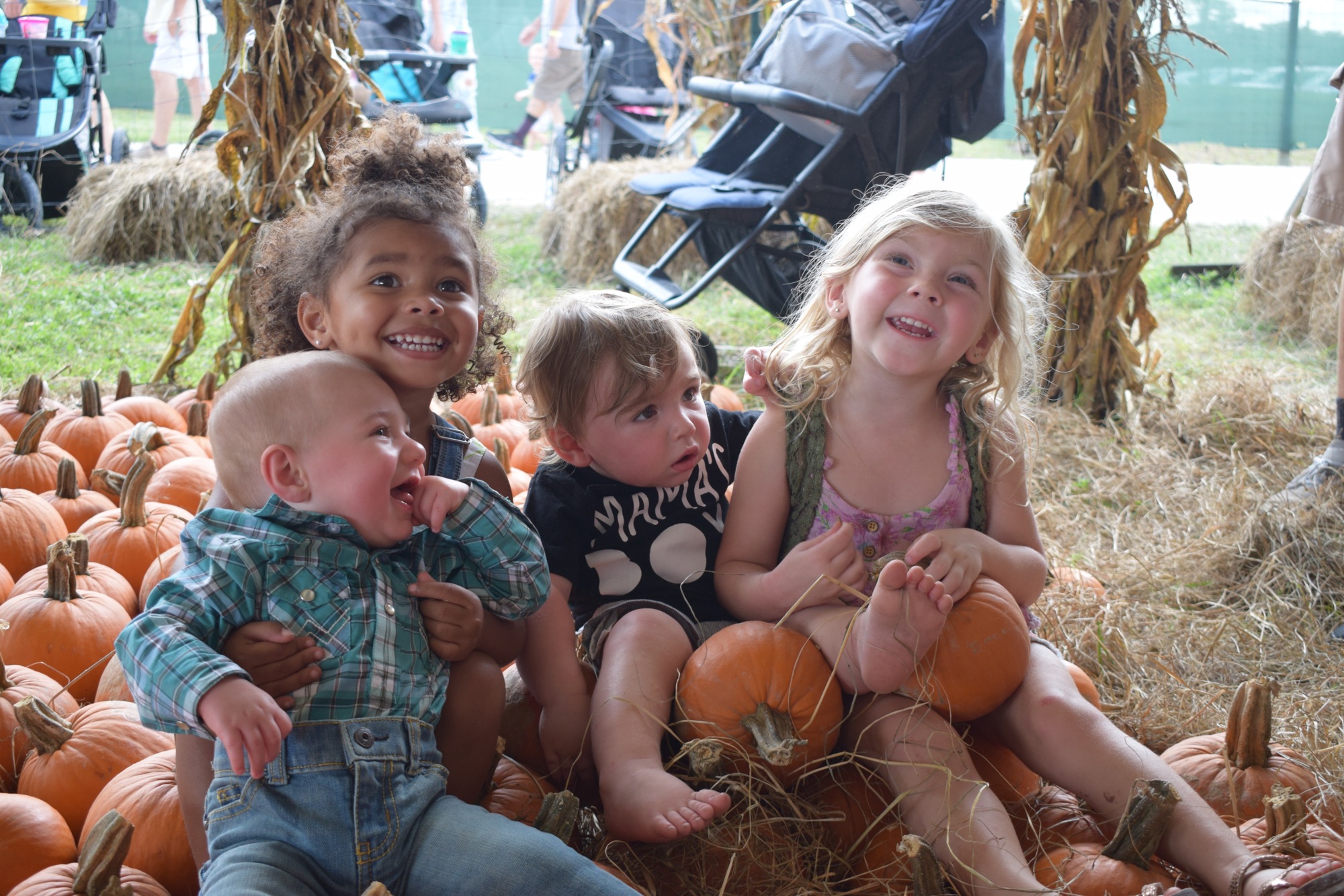Bradenton's Domaniq Hutton, Parrish's Cyla Finklea, and Myakka's Kadin and Adelynn Dodge enjoy in the pumpkin patch at Hunsader Farms in 2020. (File photo)