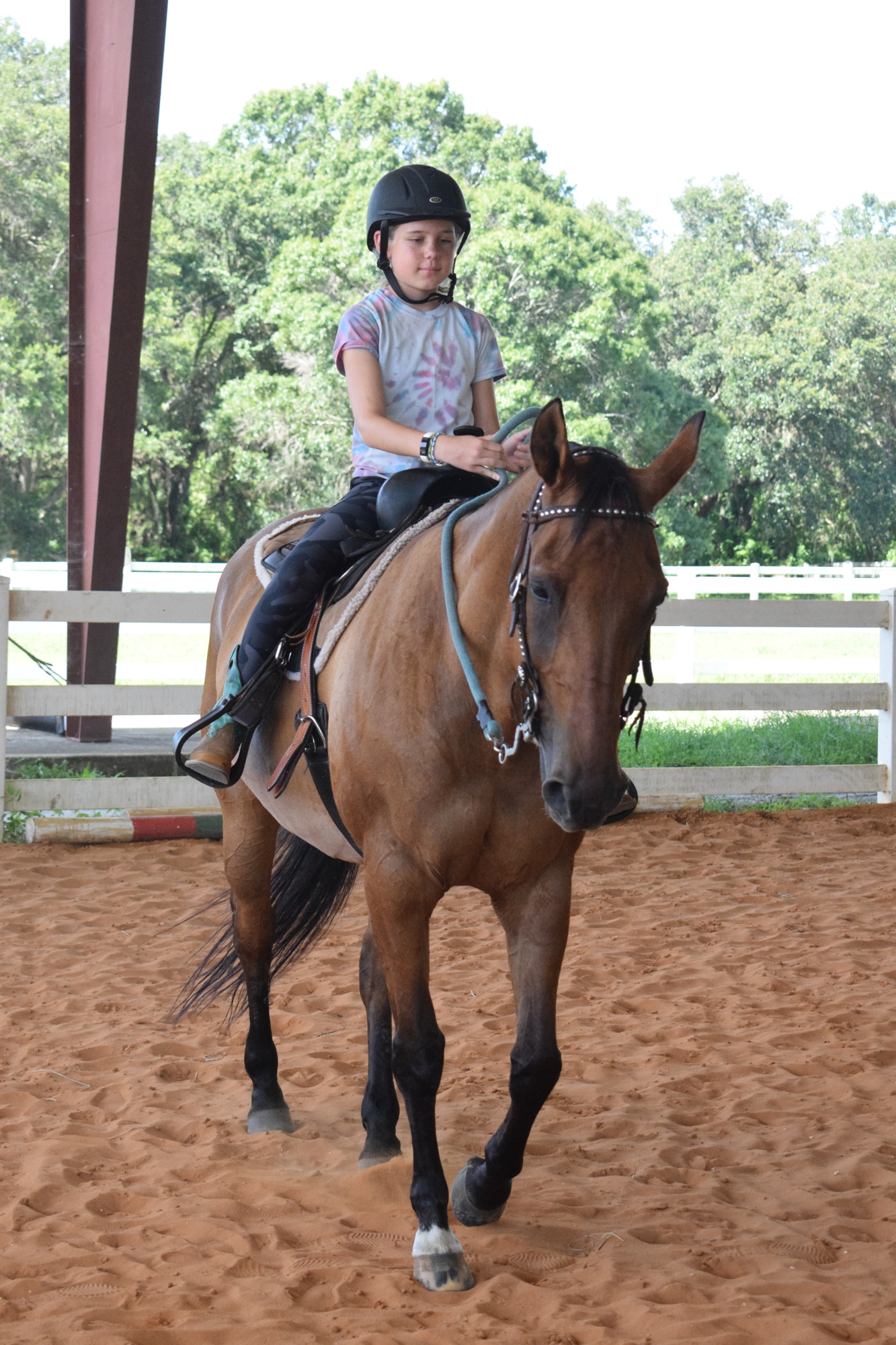 Mila Reinisch, who is 10, gets Gypsy to canter around the arena. With more horses, Sarasota Manatee Association for Riding Therapy can serve more clients. (File photo)