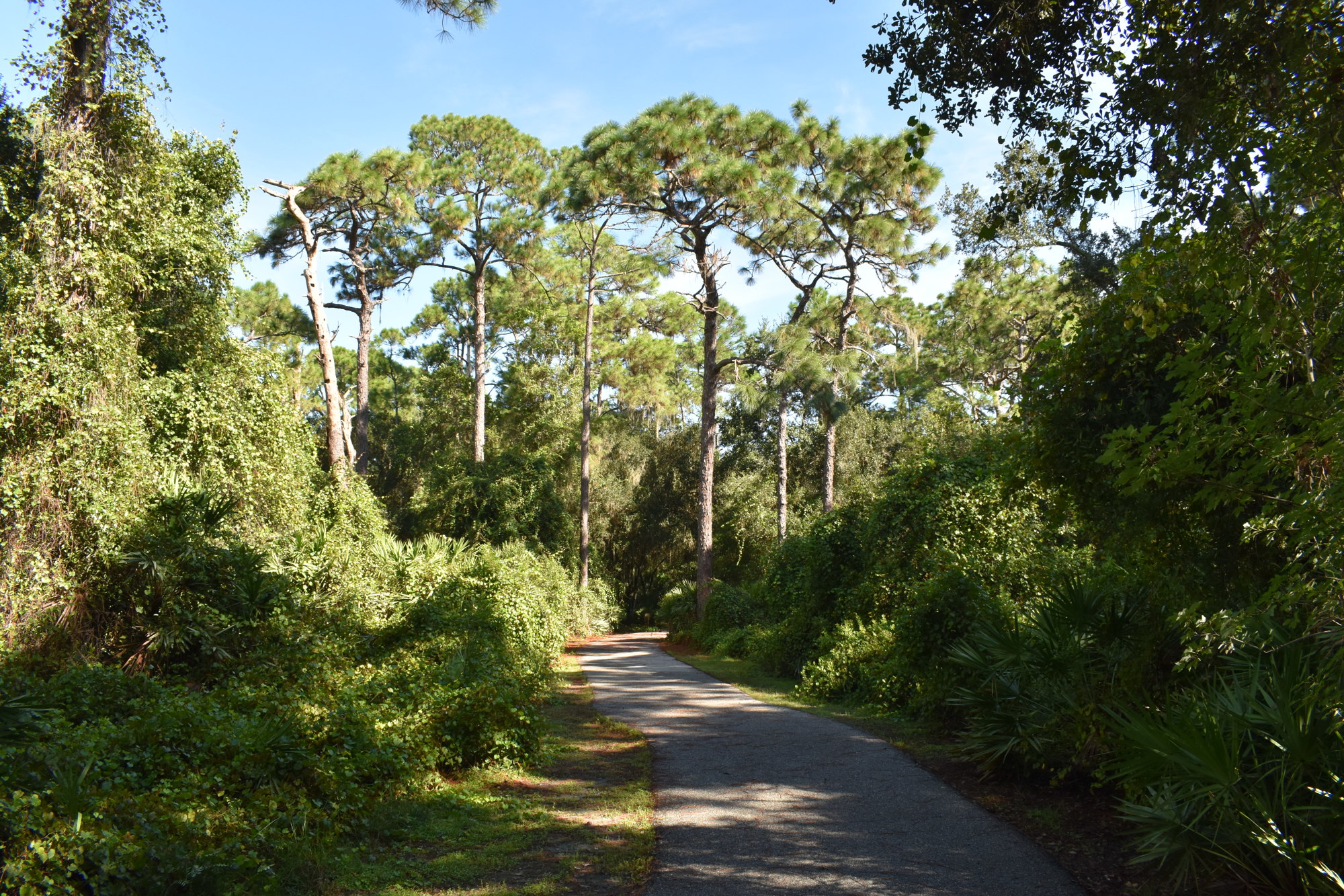 Conservatory Park in the University Park area is among the lands acquired by the county in the past, with nature trails among its features. (Photo by Ian Swaby)