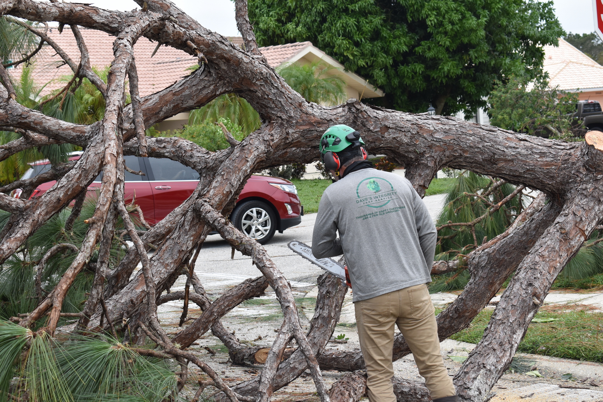 A crew member of Dave's Integrity Tree Service cuts and prepares to remove a pine tree that toppled on DelSol Boulevard near Longwood Park in North Sarasota County. (Photo by Eric Garwood)