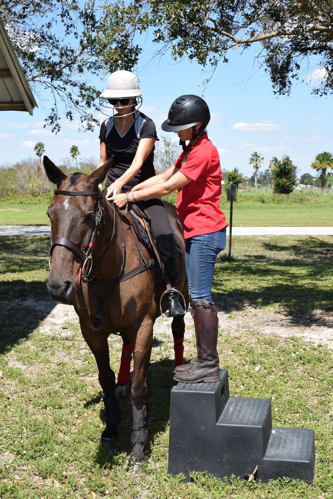 Karen Medford rose to new heights during her first polo lesson from Ashlie Osburg.