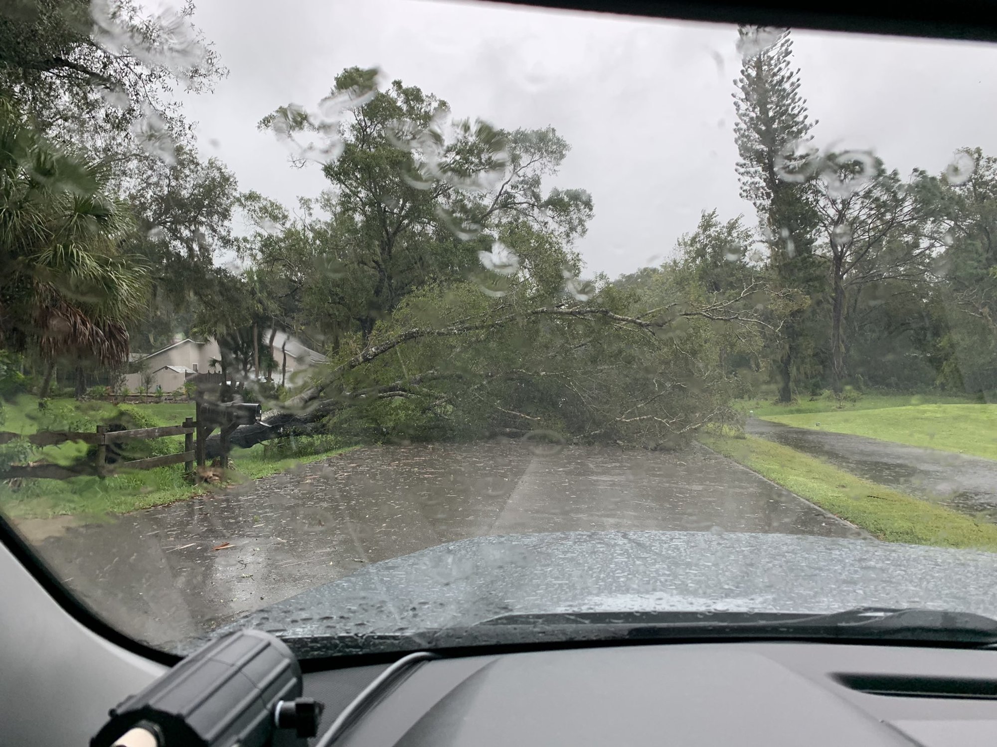 The Sarasota County Sheriff's Office shared at 11:15 a.m. Wednesday via social media images of damage including a fallen tree on Stone Ridge Trail.
