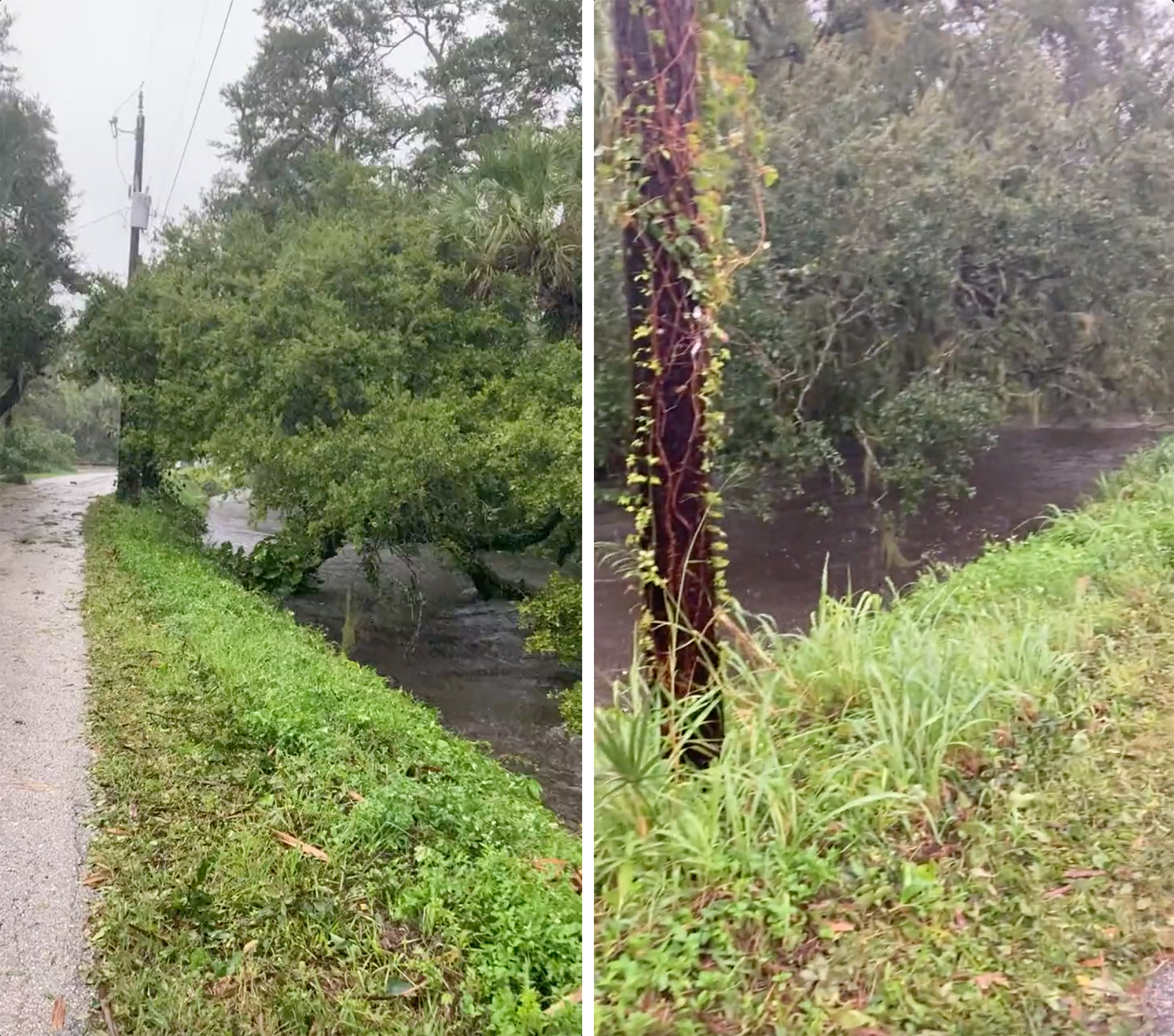Waters of Whitaker Bayou in Sarasota are seen rising quickly as Hurricane Ian passes over the region early evening Wednesday. (From video via Justin Schwegel)