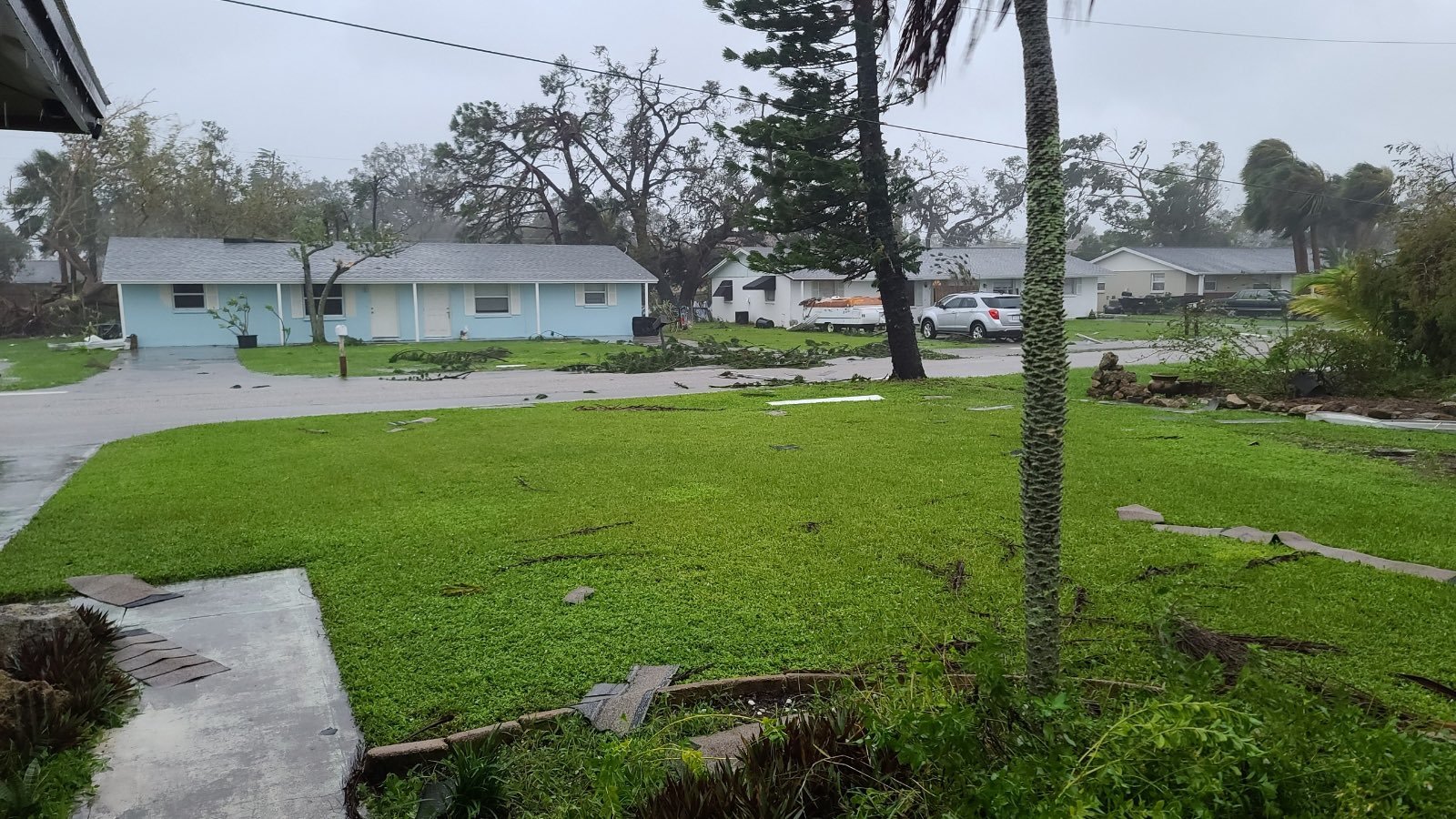 In Venice Gardens, a palm tree fell on a home's roof and the lake is up 5-6 feet around 7 p.m. Wednesday. (Photo via Emmalee Moley)