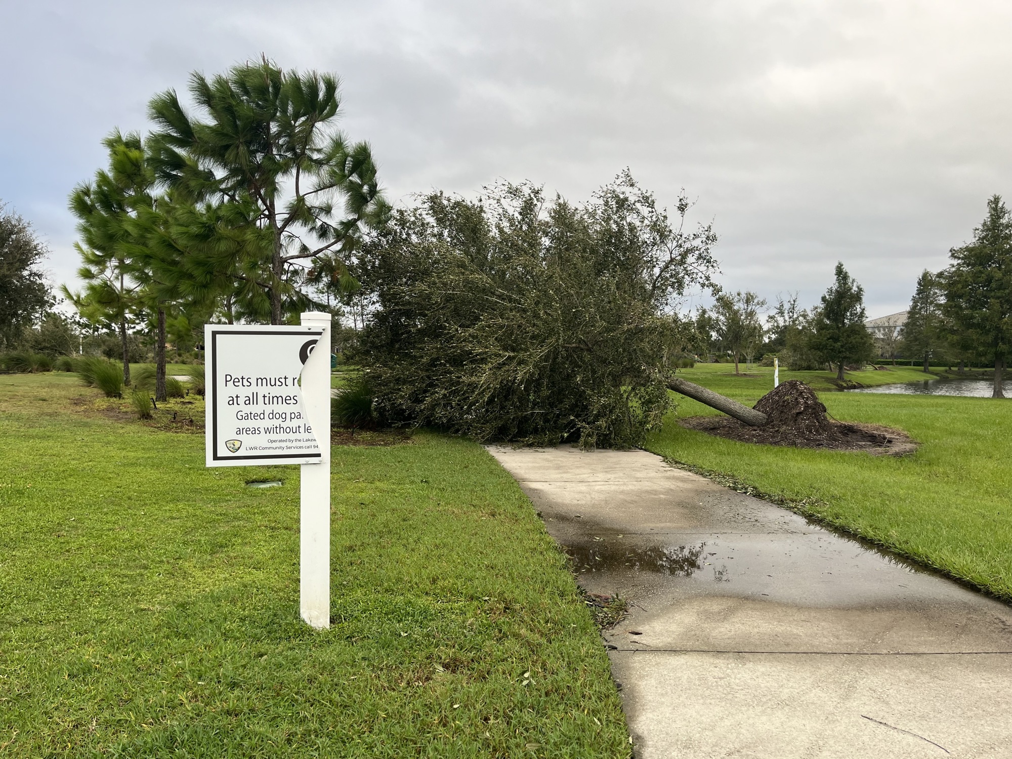 Several trees are uprooted and blocking sidewalks at Bob Gardner Community Park. A park sign was torn in half. (Photo by Liz Ramos)