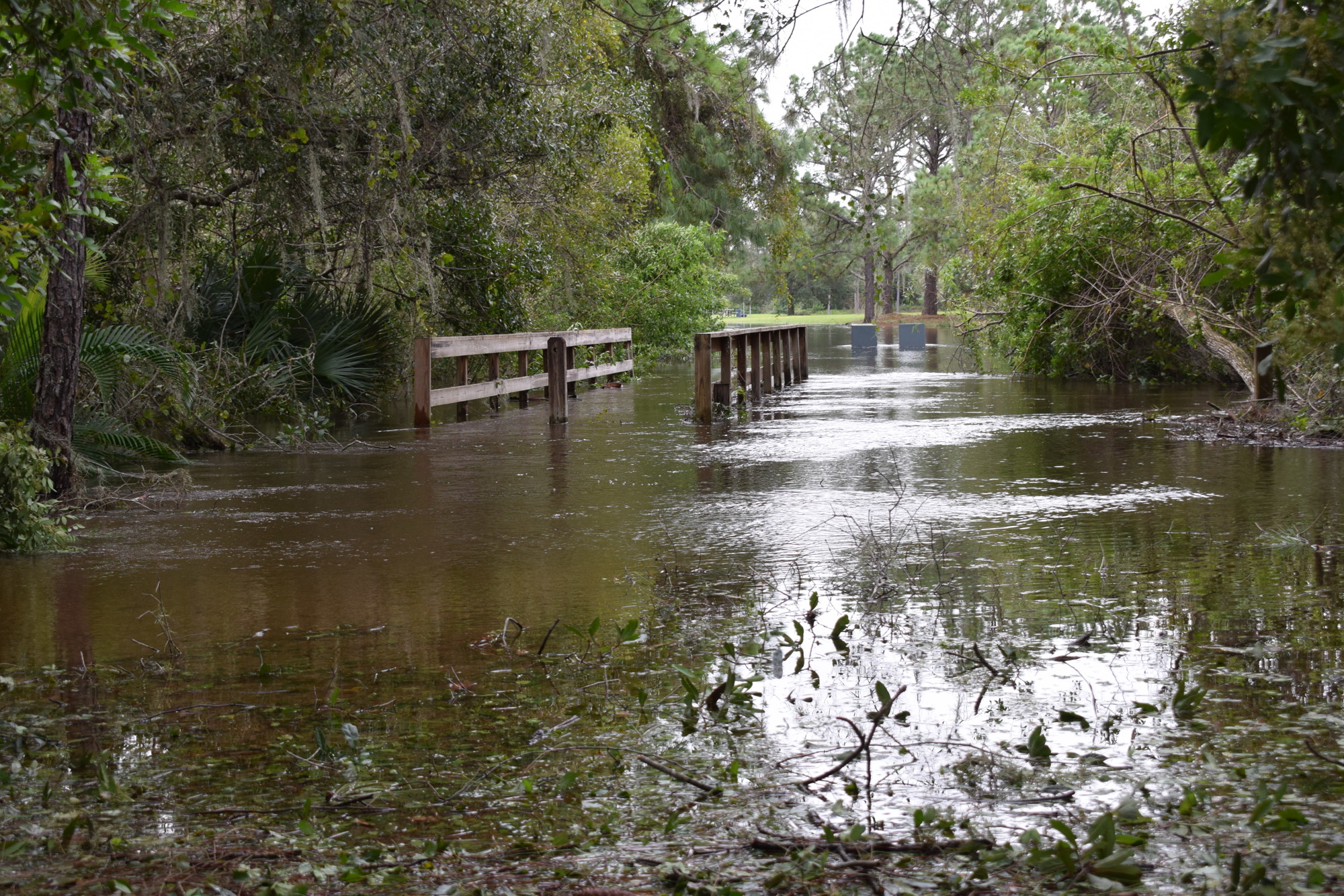 The trail at Summerfield's Heron's Nest Park was flooded on Thursday morning after Hurricane Ian. (Photo by Jay Heater)