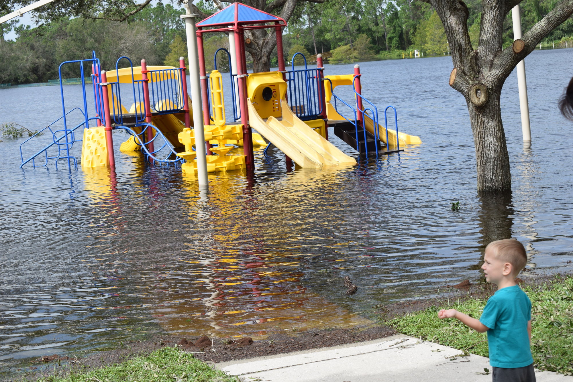 Summerfield 3-year-old Carson Sirek wonders how he is going to get to the playground equipment at flooded Greenbrook Adventure Park in Lakewood Ranch in the wake of Hurricane Ian. (Photo by Jay Heater)