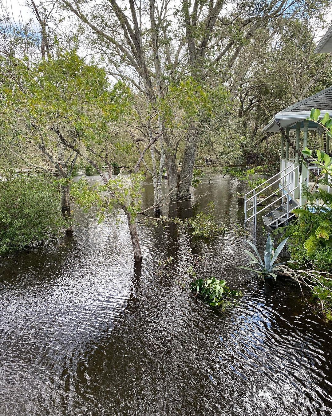Evelyn McCorristin Peters shared a photo of her home in Myakka City, which has turned into 