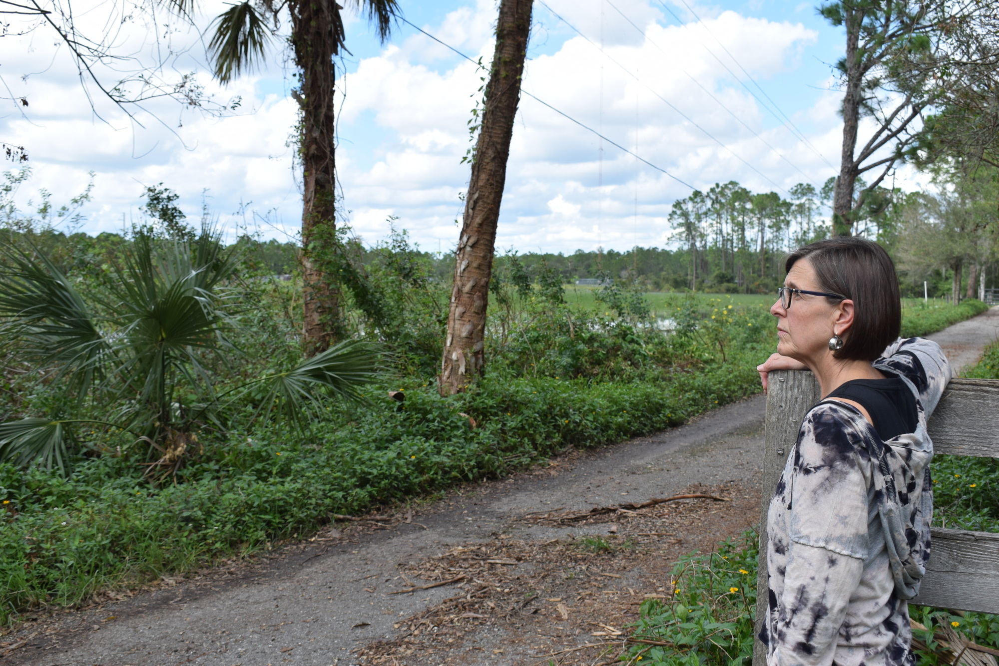 Colleen Blumenthal looks at a bordering property that is eligible for light industrial use if a current amendment is passed by Sarasota County commissioners.