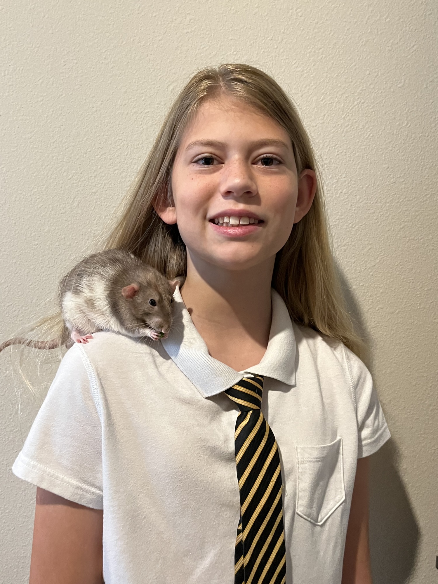 Lakewood Ranch's Lily Wojtkowski, who is 12, loves her pet rat, Pretzel. She didn't want to be away from him while at school, so she started drawing him. Now she has a comic book based on him. (Photo by Liz Ramos)
