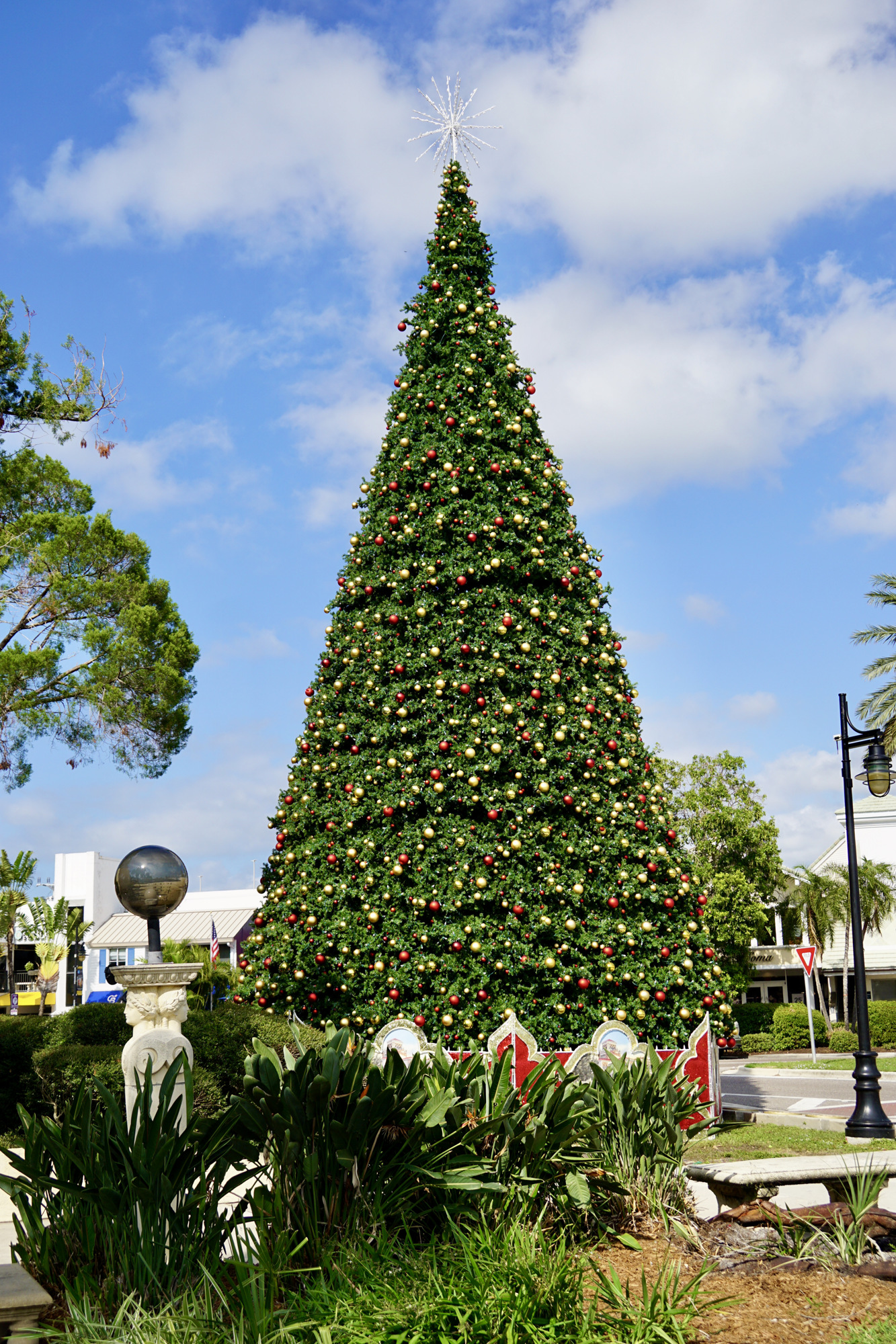 The St. Armands Circle tree will be officially lit on Dec. 2 in a small ceremony. The annual Holiday Night of Lights ceremony was recently cancelled. (Eric Garwood)