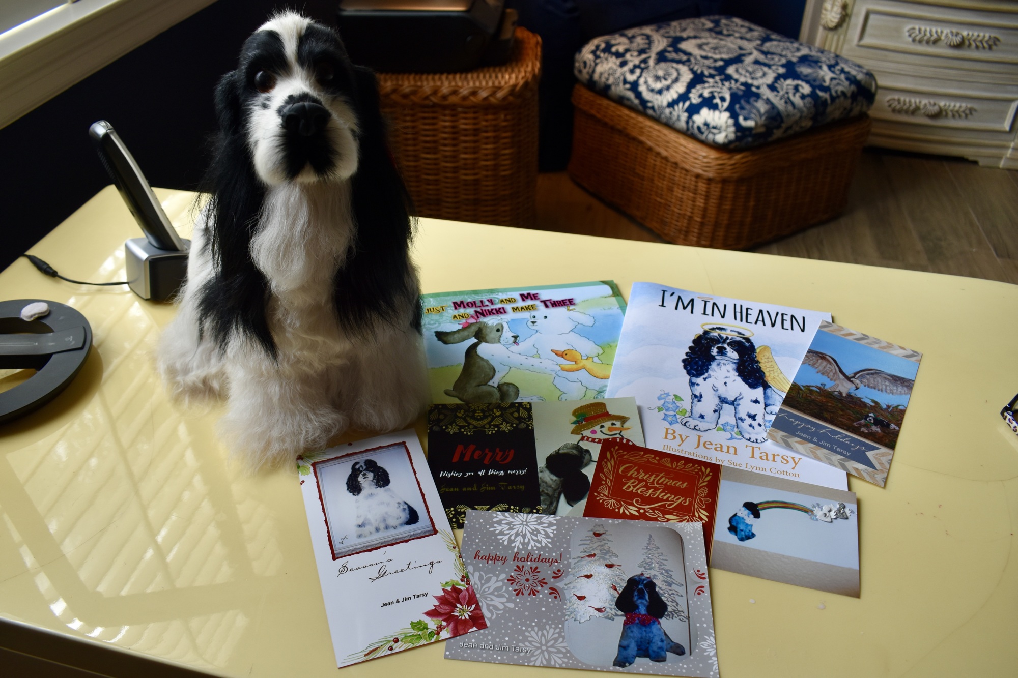Molly was a regular on the Tarsys' Christmas cards each year. (Photo by Lesley Dwyer)