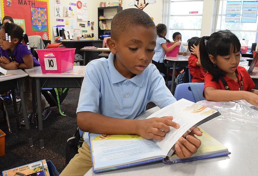 Your Observer | Manatee School District pilots literacy screener in three elementary schools - Vimarsana News
