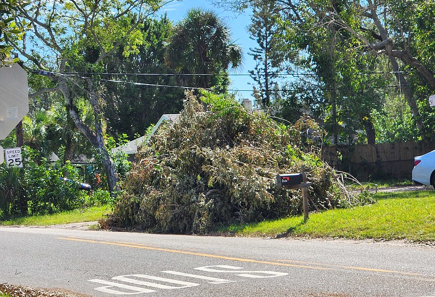 City ends storm vegetative storm debris pickup - Vimarsana News